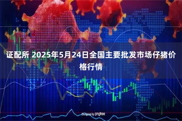 证配所 2025年5月24日全国主要批发市场仔猪价格行情