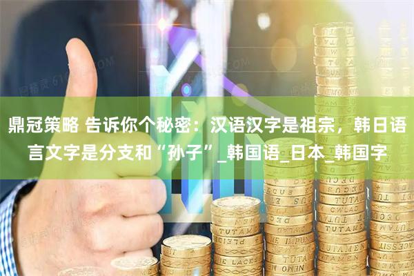 鼎冠策略 告诉你个秘密：汉语汉字是祖宗，韩日语言文字是分支和“孙子”_韩国语_日本_韩国字